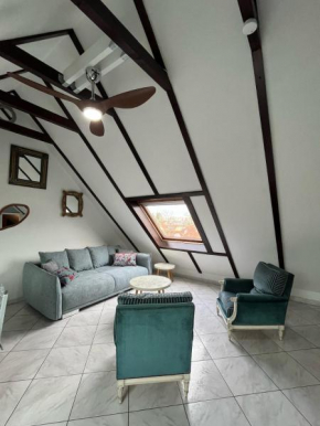 Logement Cosy avec mezzanine